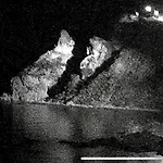 Graceland And Capo Vaticano
