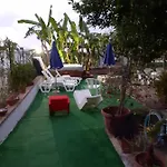 Graceland And 3*