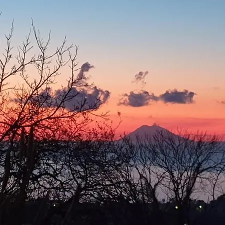 Bed & Breakfast Graceland And