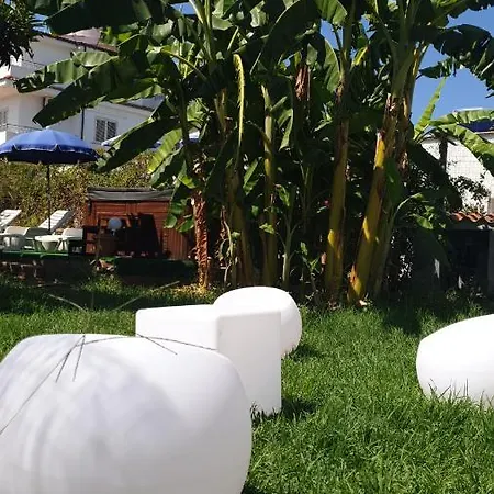 Graceland And كابو فاتيكانو