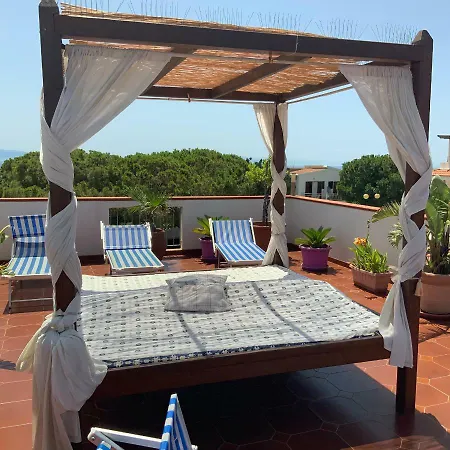 Graceland And Bed & Breakfast