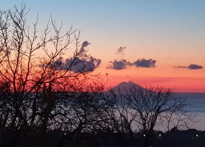 לינה וארוחת בוקר Graceland And