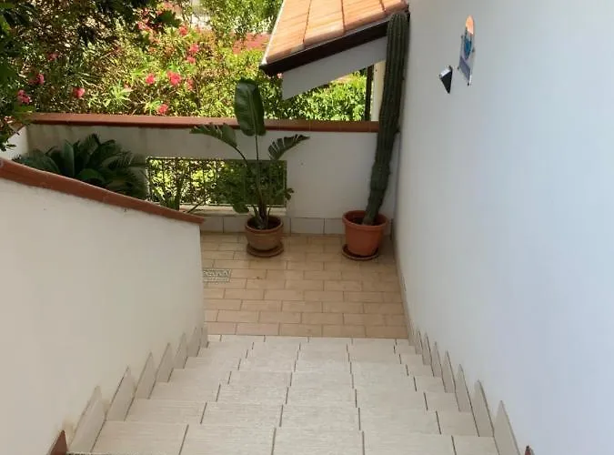 Graceland And Capo Vaticano